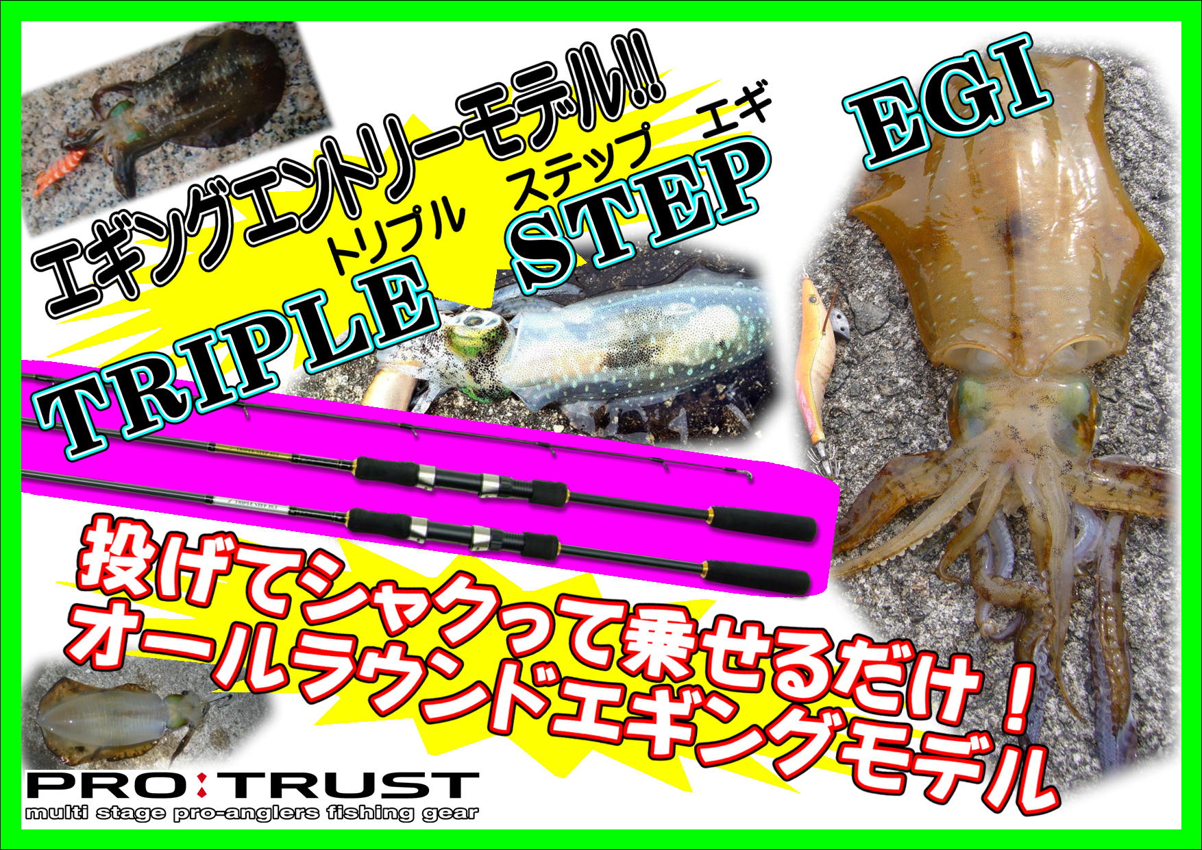 ＴＲＩＰＬＥ ＳＴＥＰ ＥＧＩ｜株式会社 大藤つり具