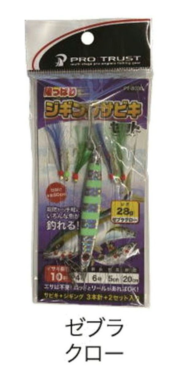 陸っぱりジギングサビキセット Land-based jigging Sabiki set｜株式 