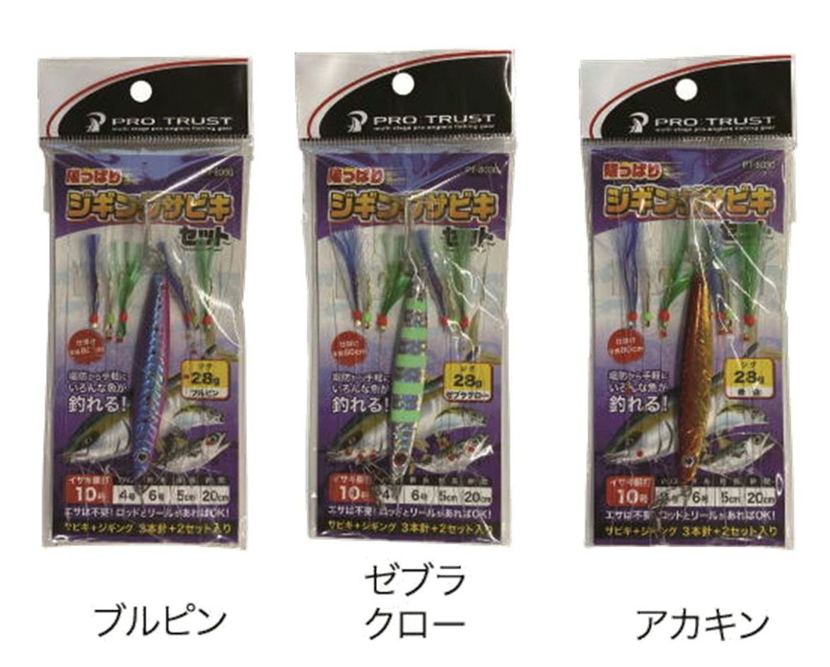 陸っぱりジギングサビキセット Land-based jigging Sabiki set｜株式 